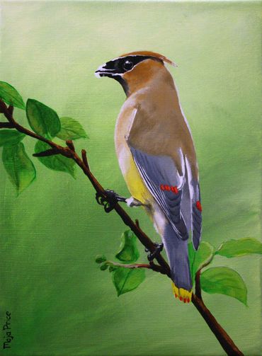 Cedar Wax Wing Painting