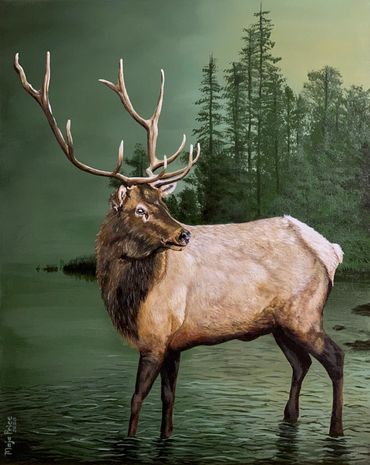 Yellowstone Elk Painting
