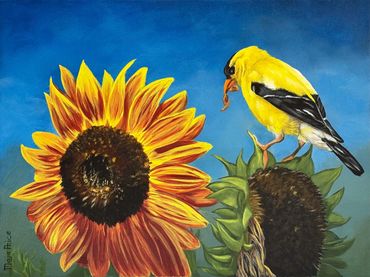 Sunflower and Goldfinch