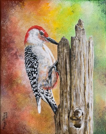 red bellied woodpecker Painting