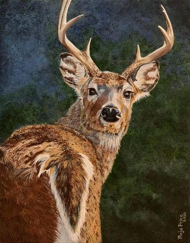 Whitetail Buck Painting