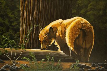 Yosemite Bear
Acrylic on Canvas 36" x 24"
$600 + shipping
Contact Maja for more information.