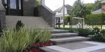 jardin plante arbre arbuste rare exotique local  Herbe verte  entretien création nettoyage tourbe