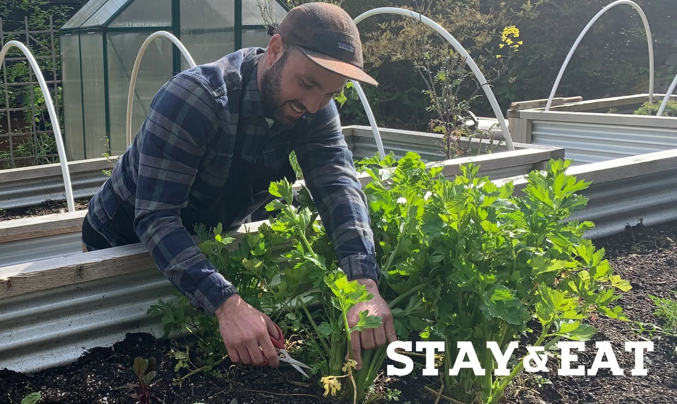 Tofino Catering Food Chef Martin Dean Garden Local Food