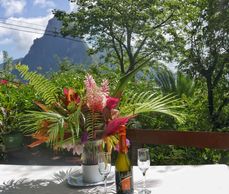 Treehouse St. Lucia
Honeymoon Destination