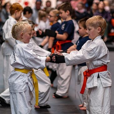 Children love Karate