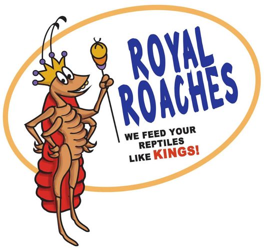 royal roaches, we feed your reptiles like kings