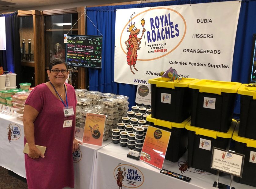 Reptile show, vendor, Helen, dubia, hissers, orangeheads, wholesale