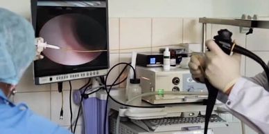 Vet near me, Experienced Veterinarian, Vet near Northridge, Vet near Porter Ranch, Granada Hills