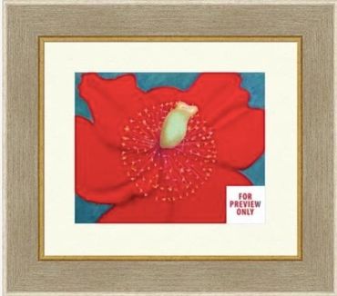 Framed close-up of a vibrant red flower with detailed stamen against a teal background.