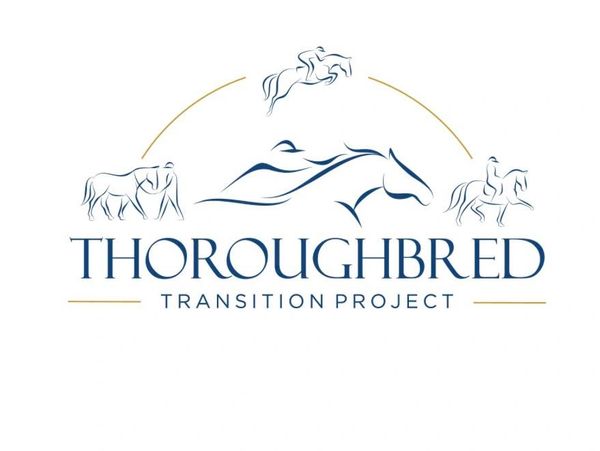 Logo for Thoroughbred Transition Project with horses and riders.