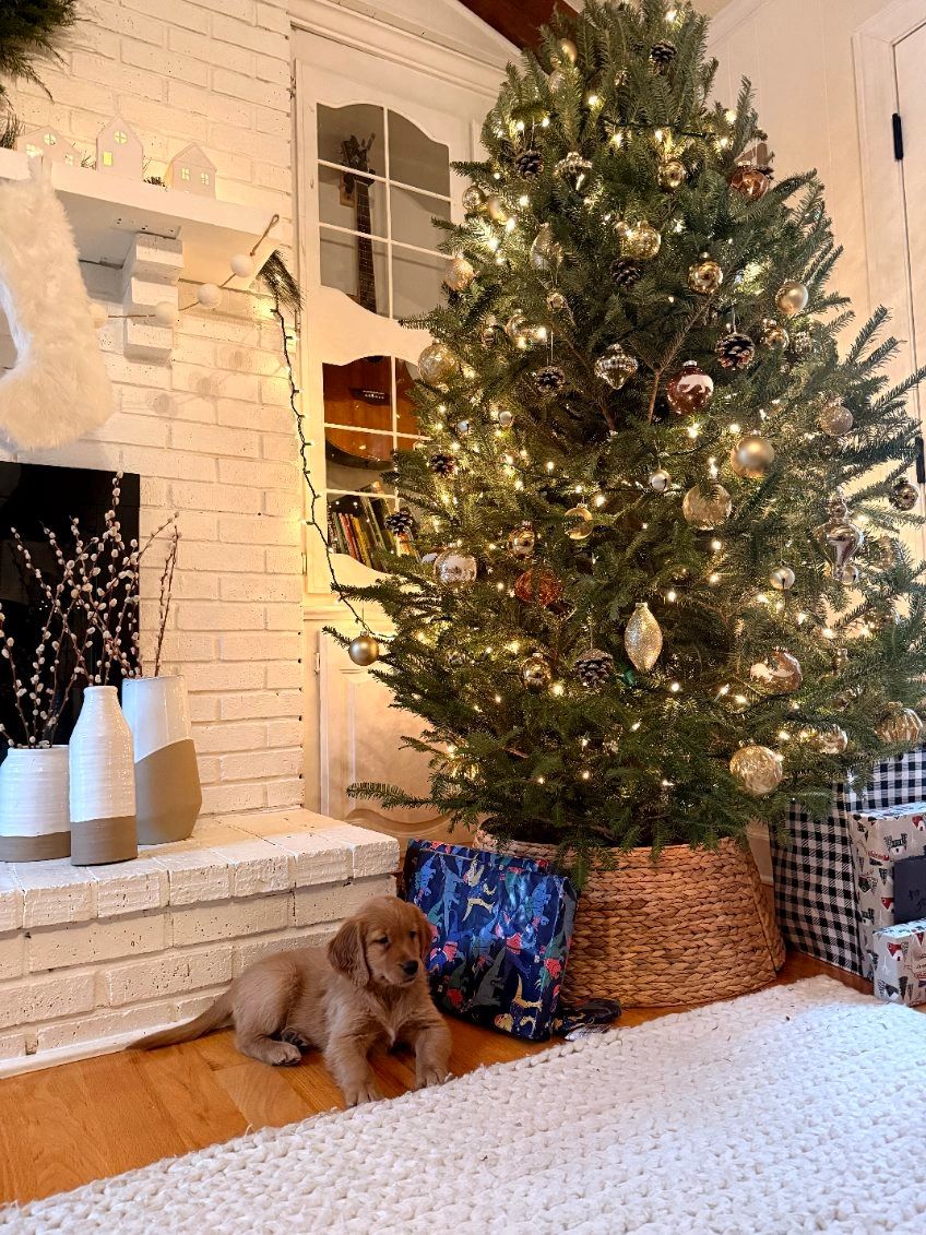 One of our beautiful Golden blessings waiting under the Christmas tree just for you!