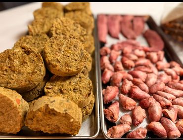 Freeze dried patties and chicken hearts!