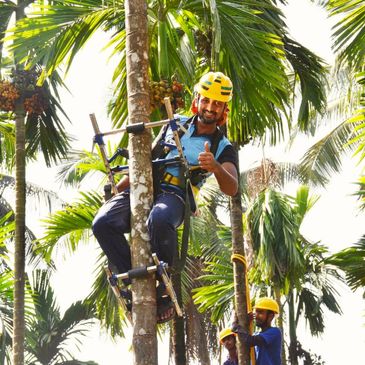 A person climbing on Arecanut tree