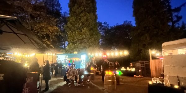 Evening outdoor gathering with string lights and food stalls under a dark blue sky.