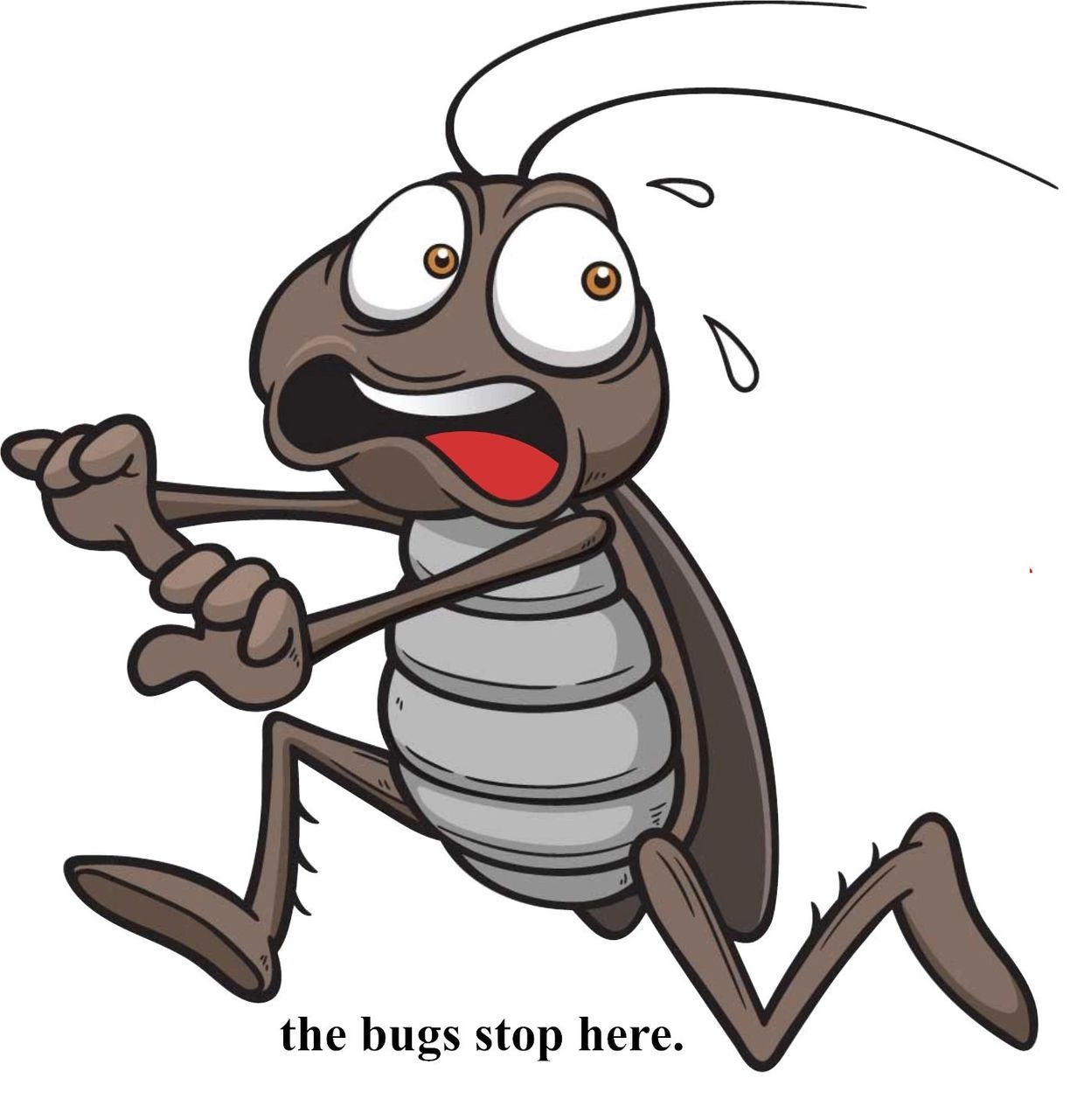 Cartoon bug running scared with caption 'the bugs stop here.'