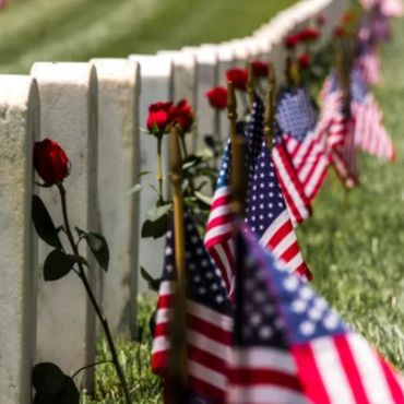 Graveyard with American flags and red roses.