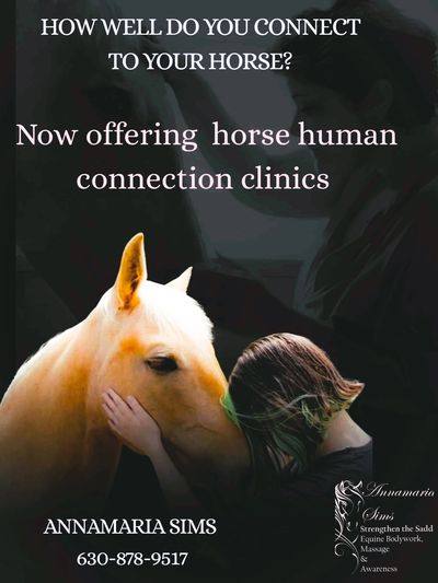 Clinic offering horse-human connection sessions for better bonding.