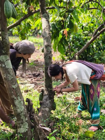 Two women examining a tree and plants in a lush green garden.