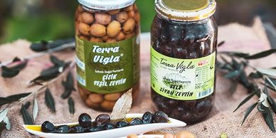 Terra Vigla Doğal Siyah Zeytin, Ayvalık Zeytin, Zeytinyağı
