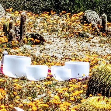 Sound Bath, Crystal Bowls, San Diego Sound Healer. San Diego Back Country, Nature, Daisies, meditati