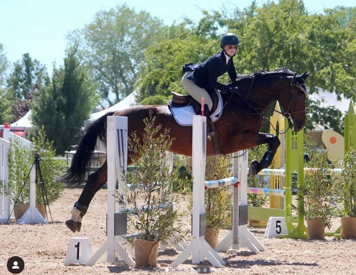 Horse and rider jumping over an obstacle in an equestrian event.