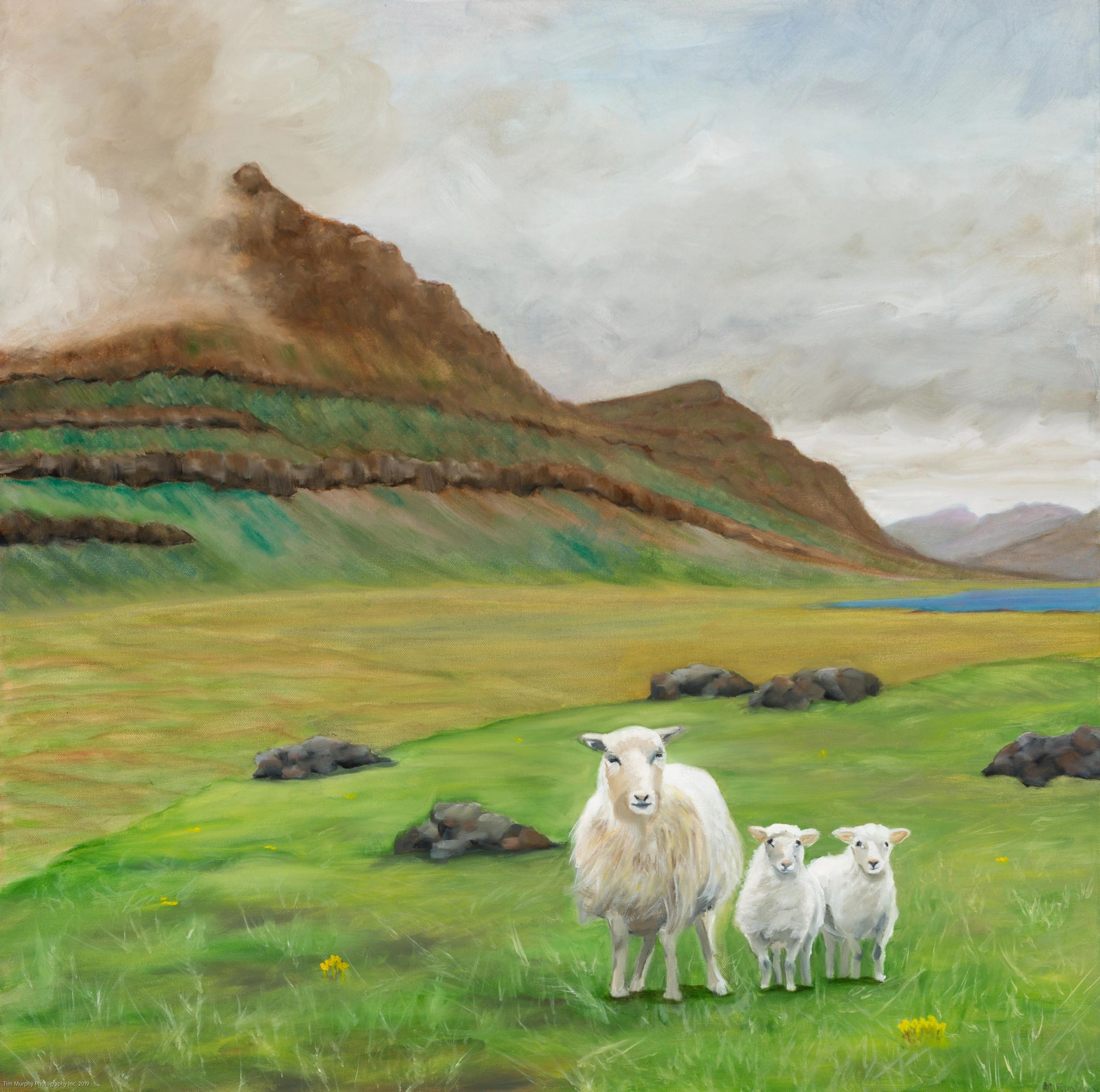 3 sheep in front of a mountain in Iceland