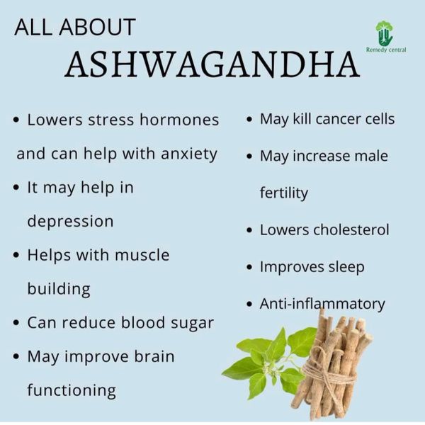 Hormone balancing herb ashwagandha