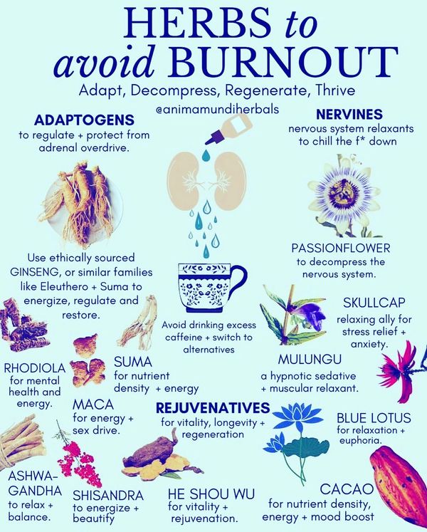 herbs for stress reduction