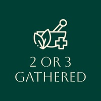 2 or 3 Gathered