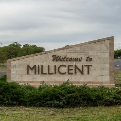 millicent pest control spider spraying service