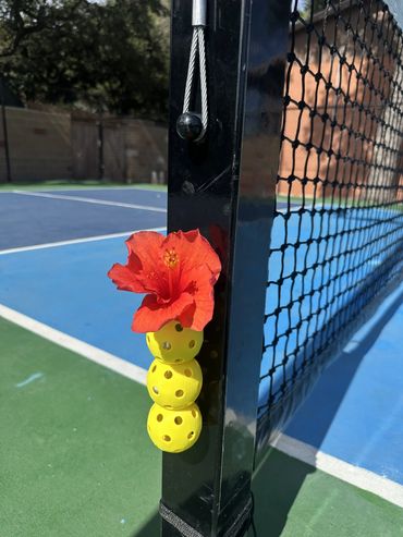 Propagation Planter with a plastic test tube on a pickleball court net post, holding a red hibiscus
