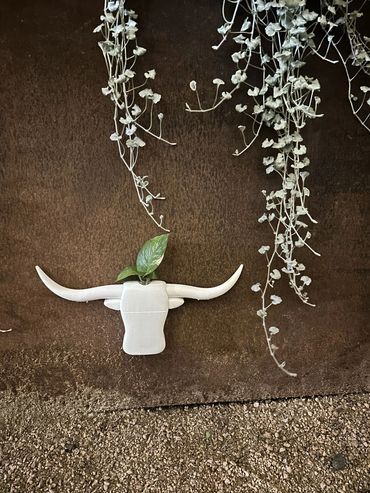Longhorn Propagation Planter with a plastic test tube and green leaf on a wall with trailing plants