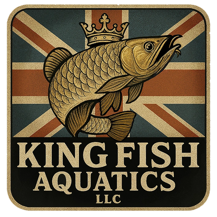 King Fish Aquatics Cullman Alabama