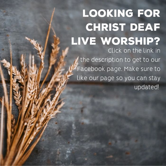 Join us for online worship by clicking the Facebook icon below!