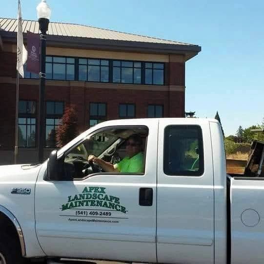Apex Landscape Maintenance LLC logo