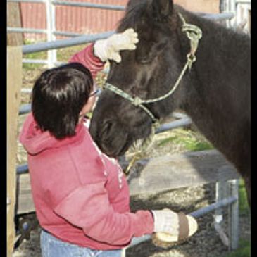 Debbie brushing her horse Sheba