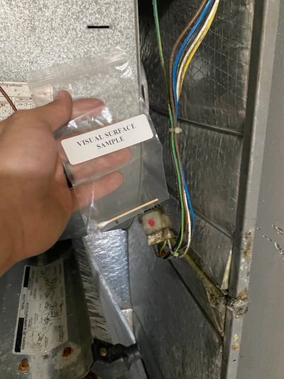 Air Sampling, Moisture Detection, MOLD INSPECTION, Mold Testing, certified mold inspection, mold inspection services