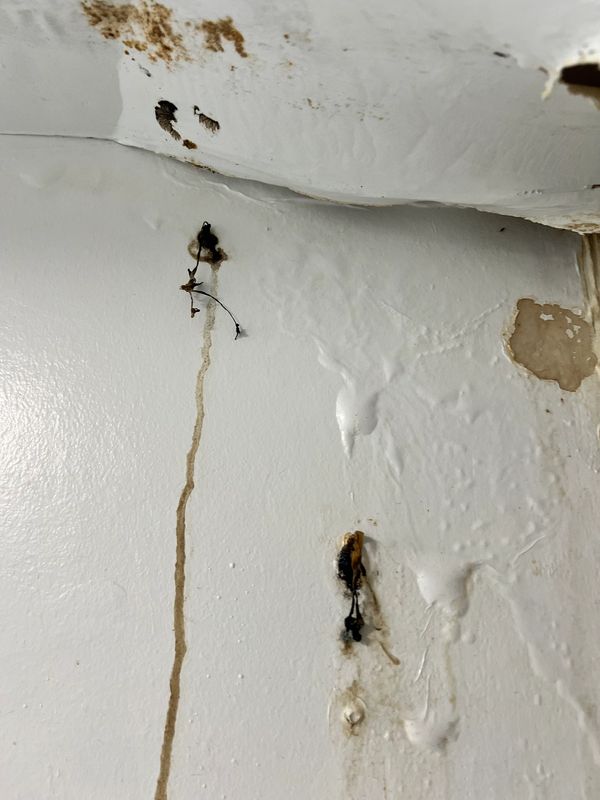 Certified mold Inspector Mold Testing, certified mold inspection, mold inspection services