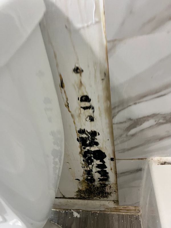 Mold Testing, certified mold inspection, mold inspection services, Certified mold Inspector