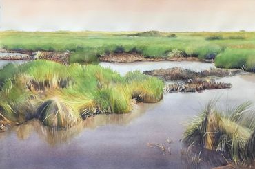 Contemporary art, environment, Nature