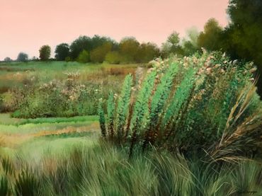 Contemporary art, Nature, environment