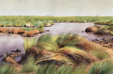 Contemporary art, environment, Nature