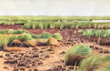 contemporary art, environment, Nature