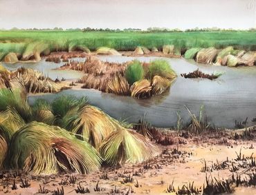 Contemporary art, environment, Nature