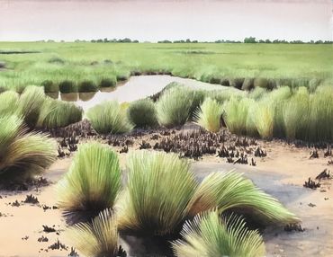 Contemporary art, environment, Nature