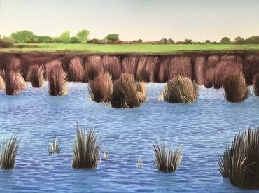 art, Nature, environment