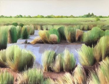 Contemporary art, environment, Nature