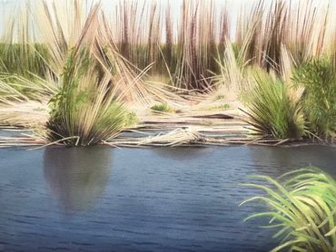 Contemporary art, environment, Nature