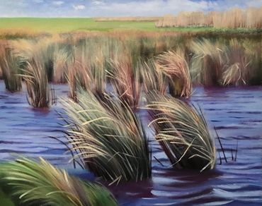 Texas art, American art, Houston art gallery, wetlands conservation, Texas Chenier Plain